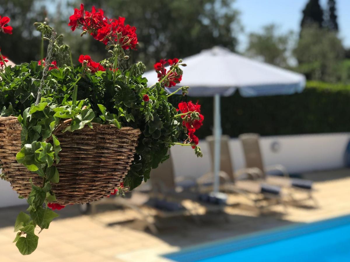 Villa Elia Bed And Breakfast Kiti Екстер'єр фото